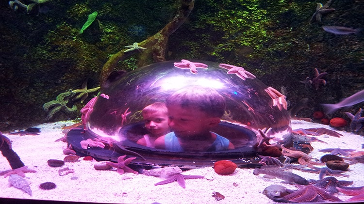Aquarium Sea Life d'Istanbul en Turquie