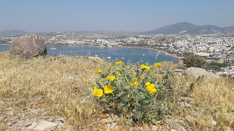 péninsule de Bodrum en Turquie