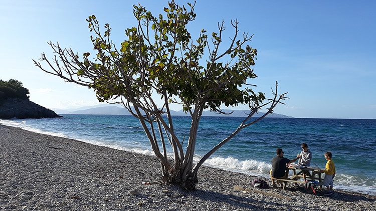 parc national de dilek en turquie et sa plage