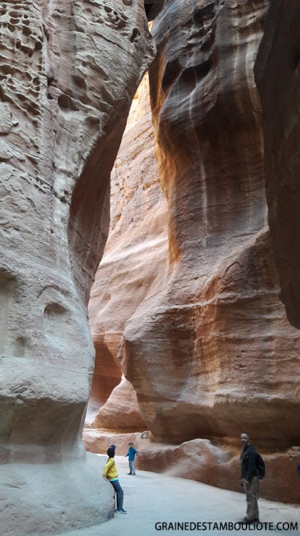 Siq ou canyon de Pétra Jordanie
