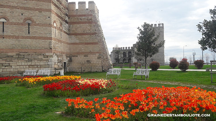 muraille de constantinople, parc de la paix internationale près de la forteresse Yedikule, pendant le festival des tulipes d'Istanbul