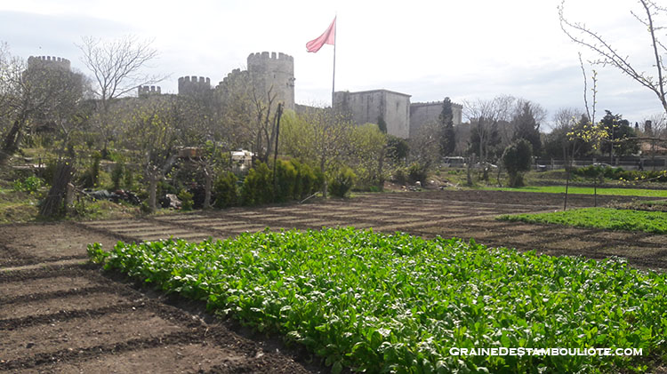 Forteresse de Yedikule, 7 tours, sur la Muraille de Constantinople à Istanbul, dont la Porte d'Or
