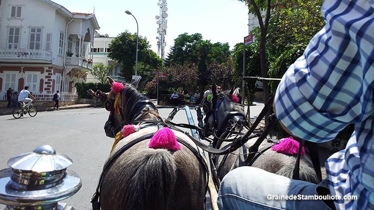 tour de Buyukada en fayton, calèche des îles aux princes, istanbul