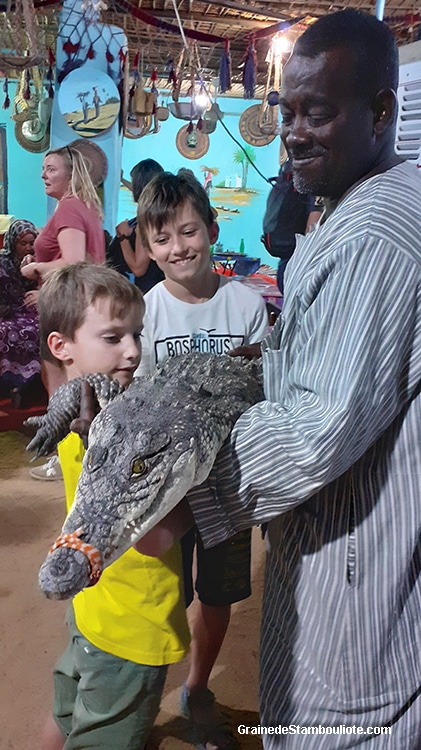 Crocodile du Nil dans une maison du village nubien Garb Sehel près d'Assouan Haute Egypte