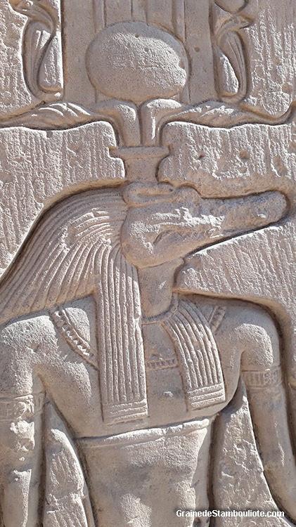 Sobek, dieu égyptien à tête de crocodile, temple de Kôm-Ombo Haute Egypte