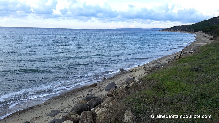 ANZAC day, plages d'ANZAC Cove, Gallipoli, Bataille des Dardanelles, Canakkale, première Guerre Mondiale