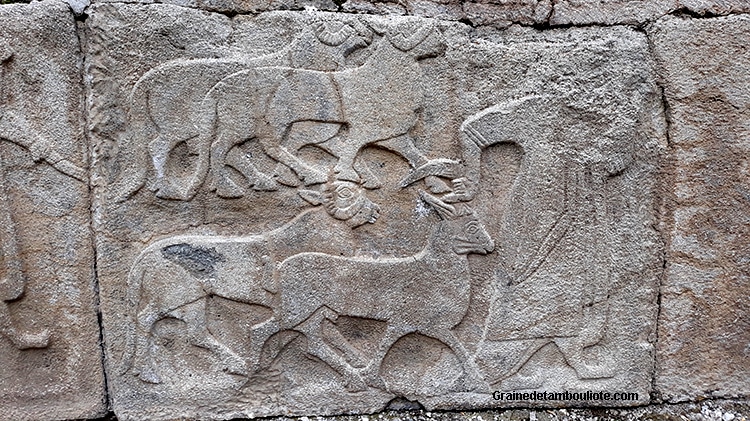 prêtre Hittite conduisant des animaux - Alaca Höyük, près de Hattusa, capitale Hittite, haut relief, orthostase, XIV av. JC,
