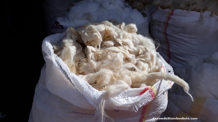 laine mohair, de chèvre angora à Ankara, Turquie