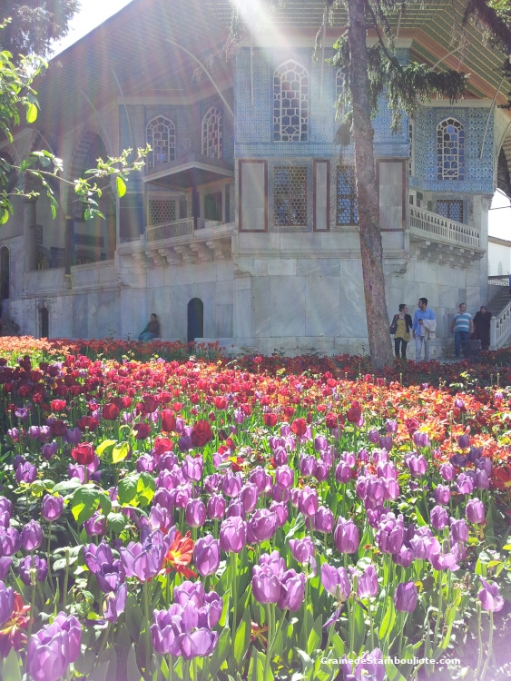 Palais Topkapi, Istanbul, Ottoman, Kiosque Erevan, Tulipes
